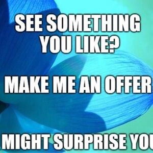 Meet your Posher, Marcy